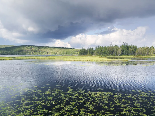 水环境影响评价