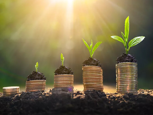 绿色金融与环保政策咨询