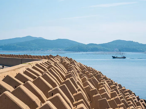 防洪工程专项设计